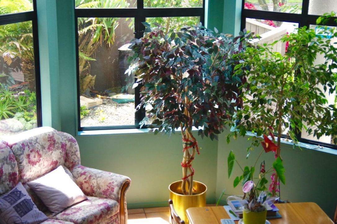 Hamilton East Homestay Eksteriør bilde